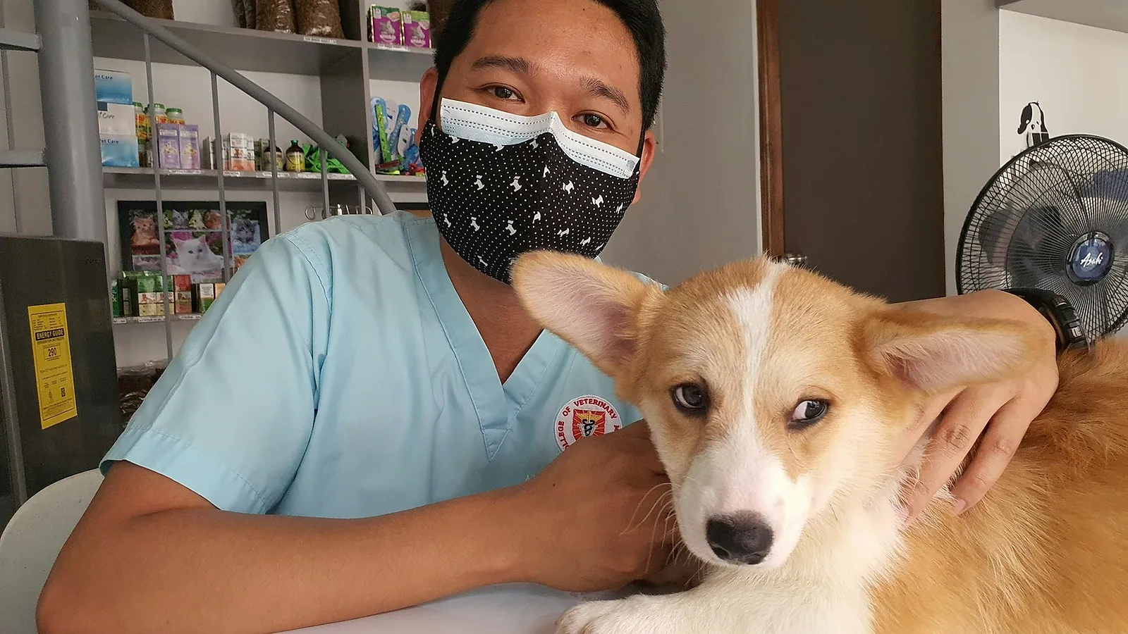 Veterinario revisando a un perro en la clínica