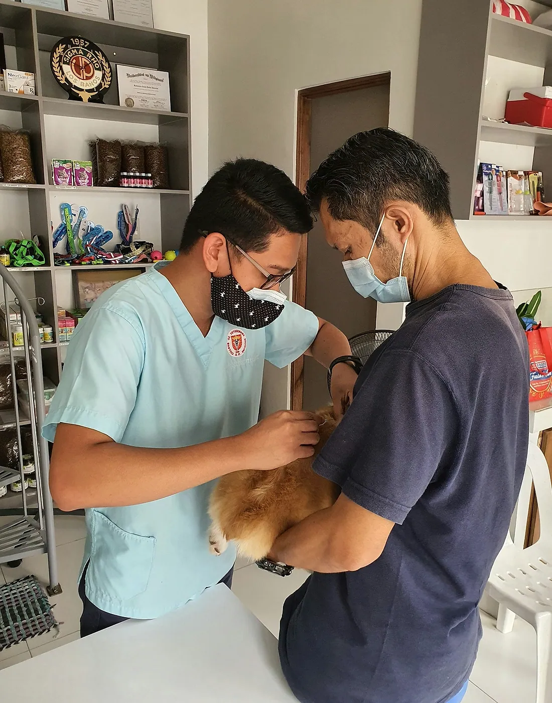 Equipo veterinario atendiendo a un perro