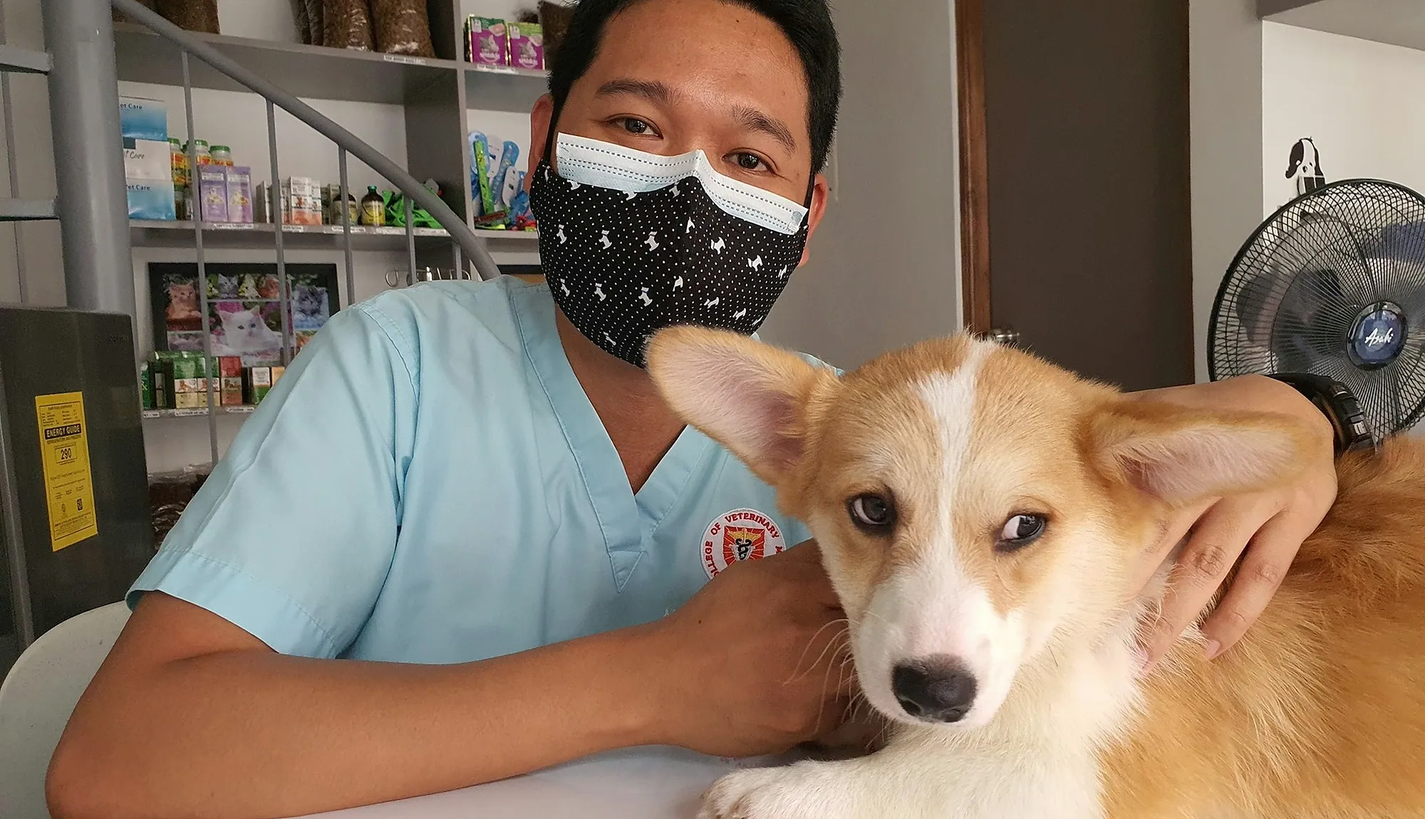 Veterinario revisando a un perro en el consultorio