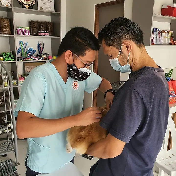 Equipo veterinario aplicando una vacuna